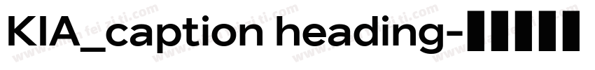 KIA_caption heading字体转换